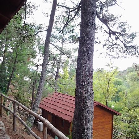 Отель Camping La Eliza Лансаита Экстерьер фото