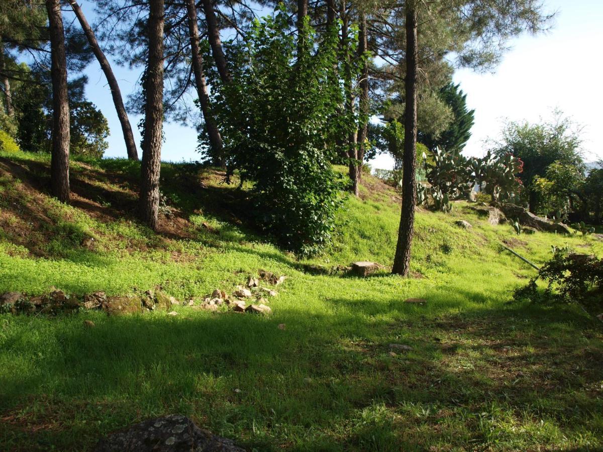 Отель Camping La Eliza Лансаита Экстерьер фото